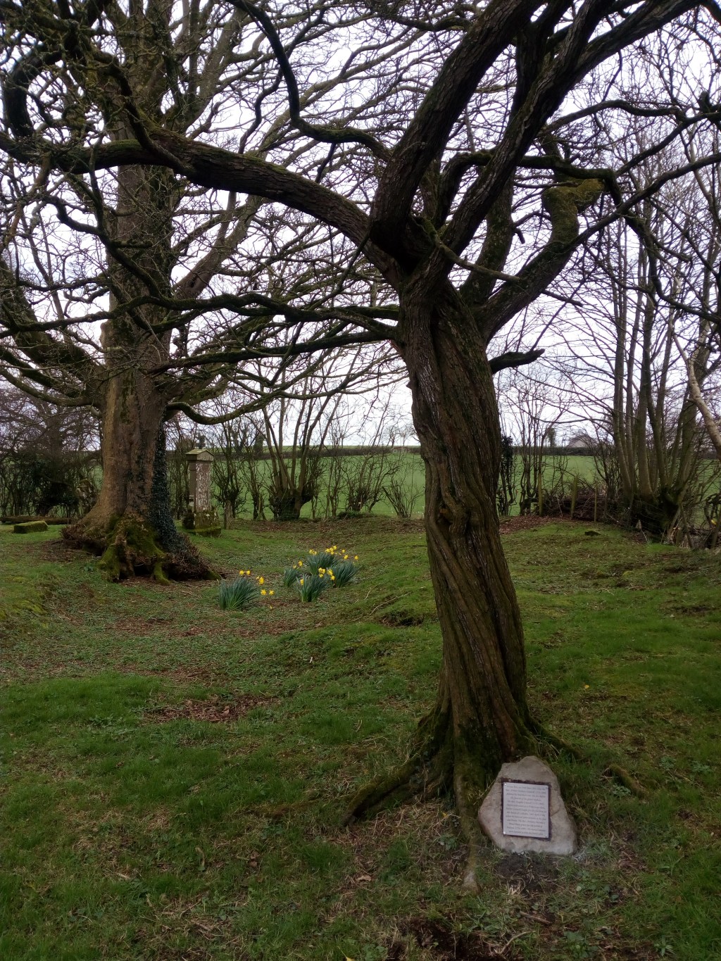 Commemorative Plaque for Conwell&nbsp;Hawthorn