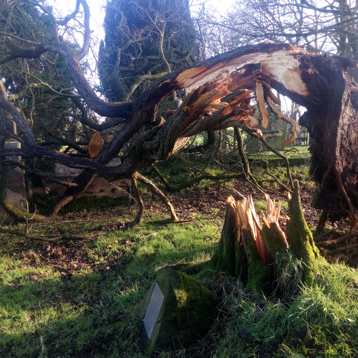 Éowyn – her beautiful name, her violent&nbsp;temper