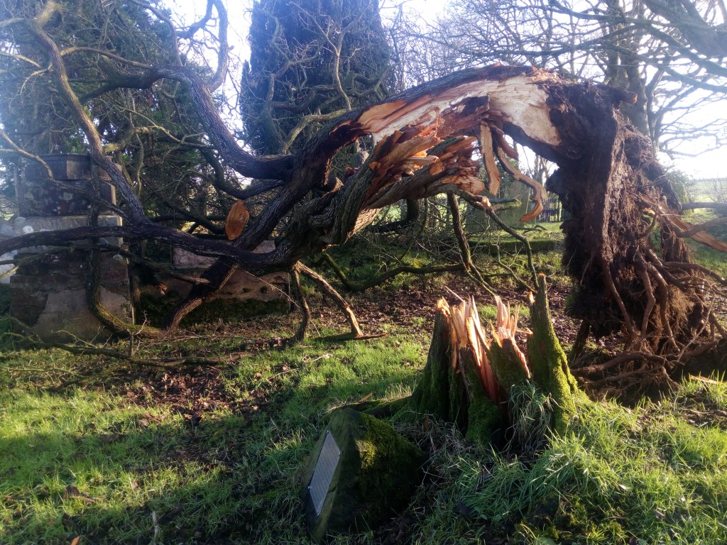 Éowyn – her beautiful name, her violent&nbsp;temper